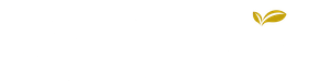 The Landing Senior Living Logo small